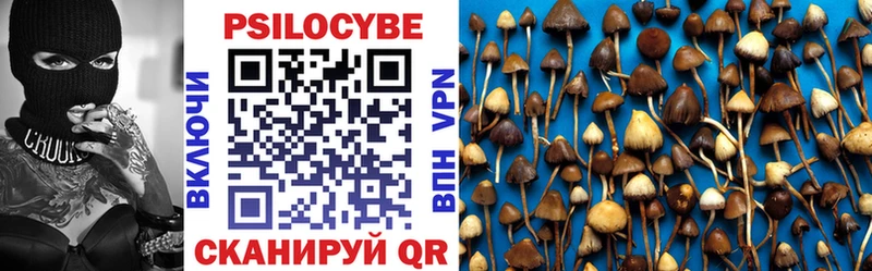 хочу наркоту  Курчатов  Псилоцибиновые грибы мицелий 