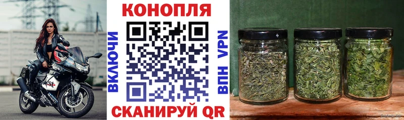 hydra сайт  Курчатов  Марихуана гибрид  дарнет шоп 